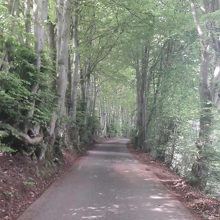 شقة Terrasses De M&i