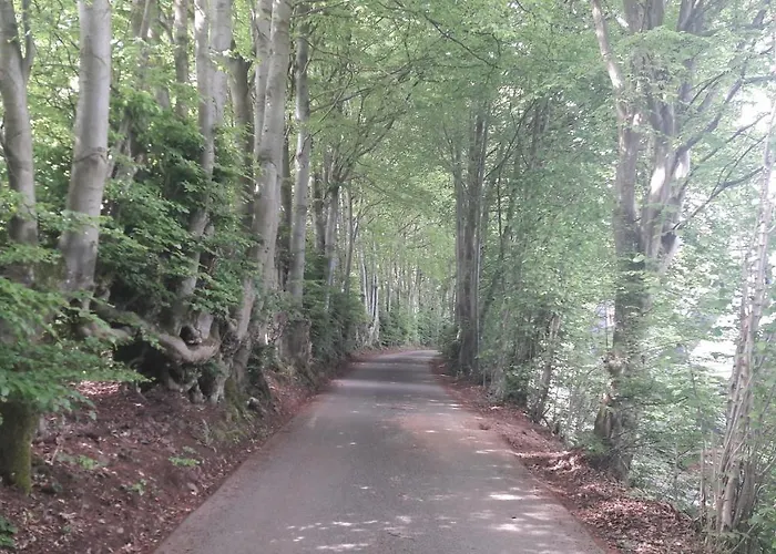 Apartamento Terrasses De M&i